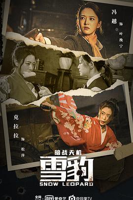 电影:雪豹之暗战天机