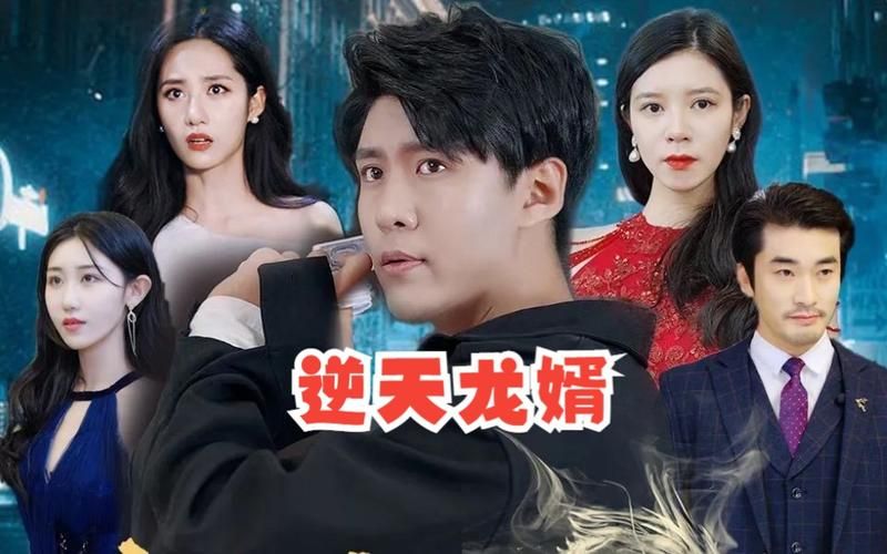 电影：《逆天龙婿》