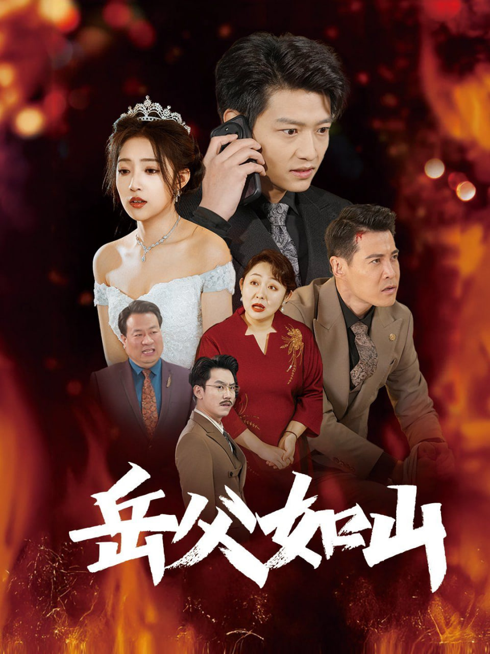 电影：岳父如山（岳父的礼物）