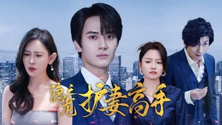 电影：隐龙之护妻高手