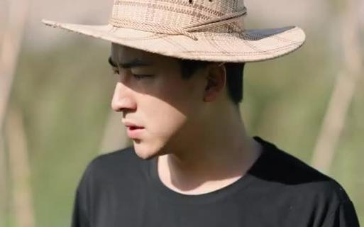 电影：镇天战婿