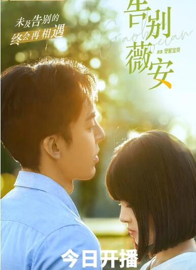 电影：告别薇安