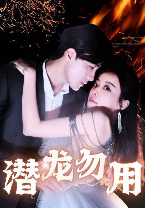 电影：潜龙勿用