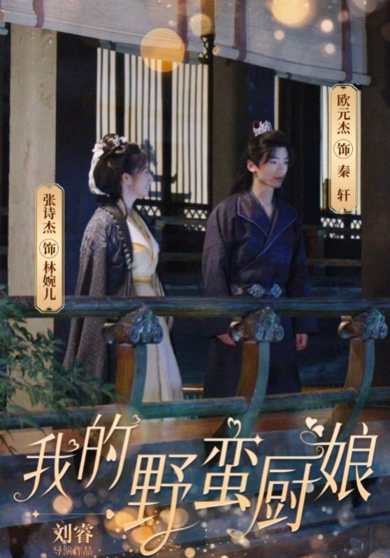 电影：我的野蛮厨娘