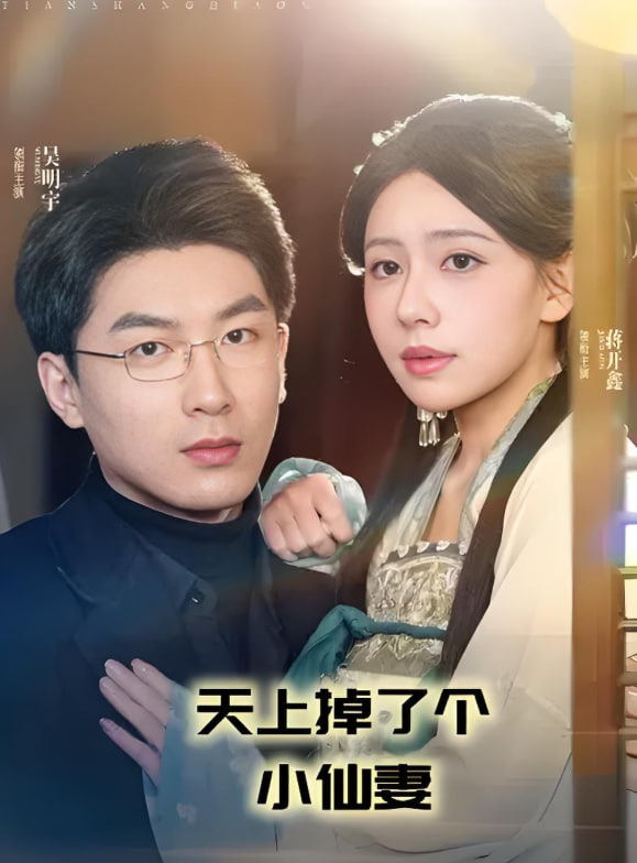 电影：天上掉了个小仙妻