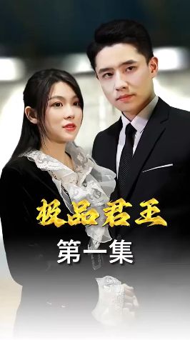 电影：极品君王