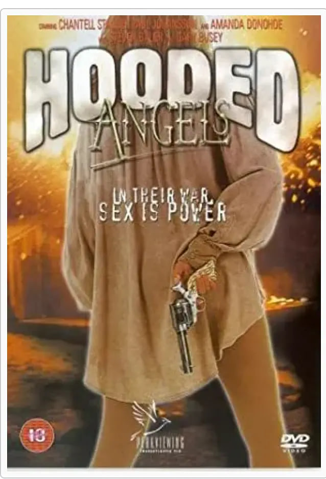 电影：胡德天使