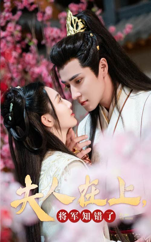 电影：夫人在上，将军知错了