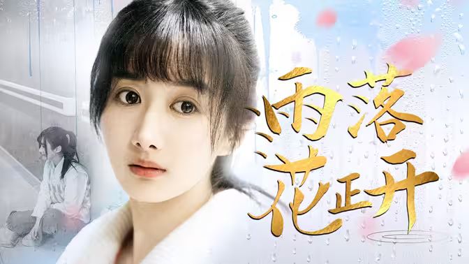 电影：雨落花正开