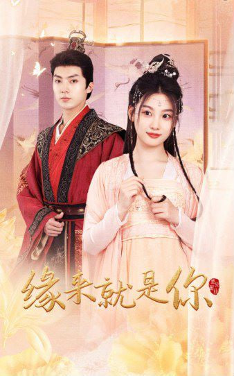 电影：新版：缘来就是你