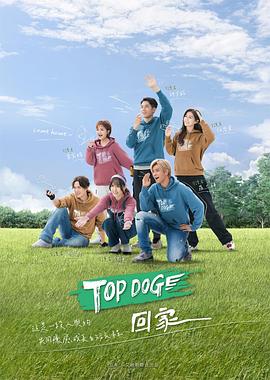 电影:TOP DOG