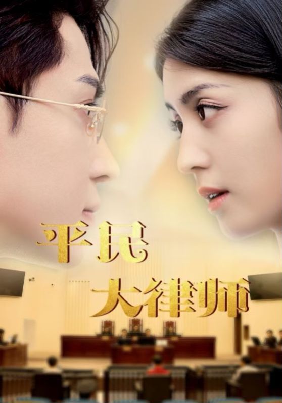 电影：平民大律师