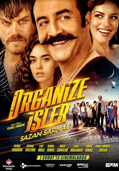 电影：Organize Isler: Sazan Sarmali