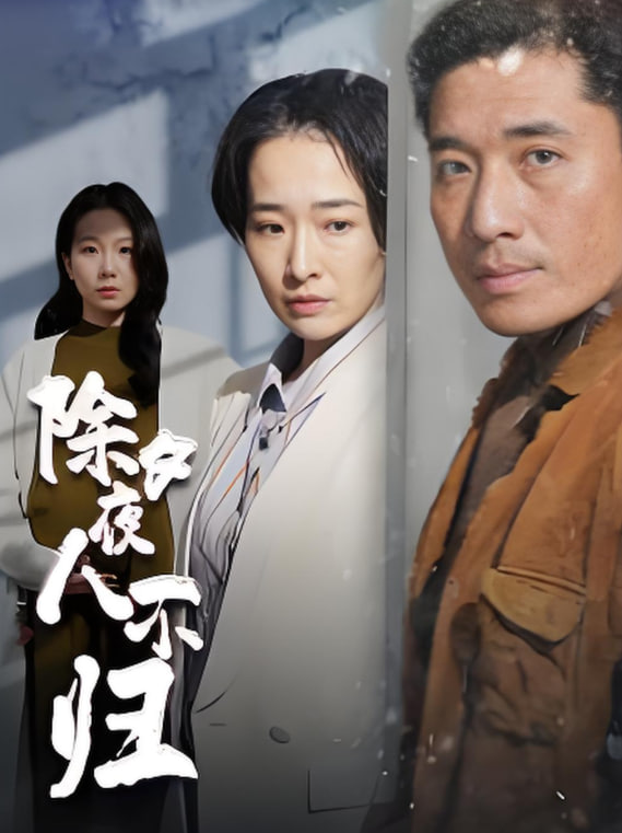 电影:除夕夜人不归