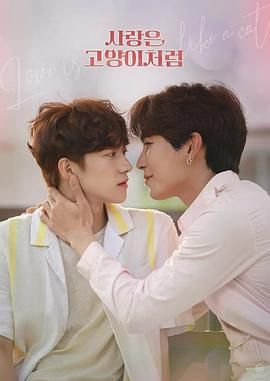 电影：爱情像猫一样