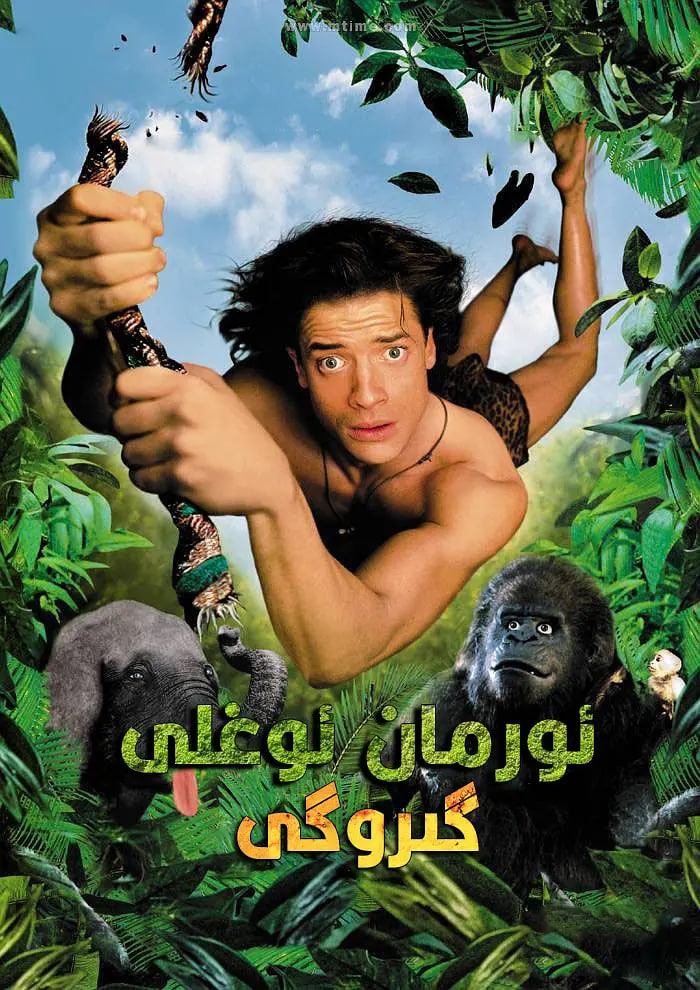 电影：森林泰山