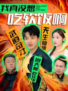 电影：我真没想吃软饭啊
