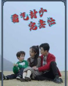 电影:霸气封少宠妻忙