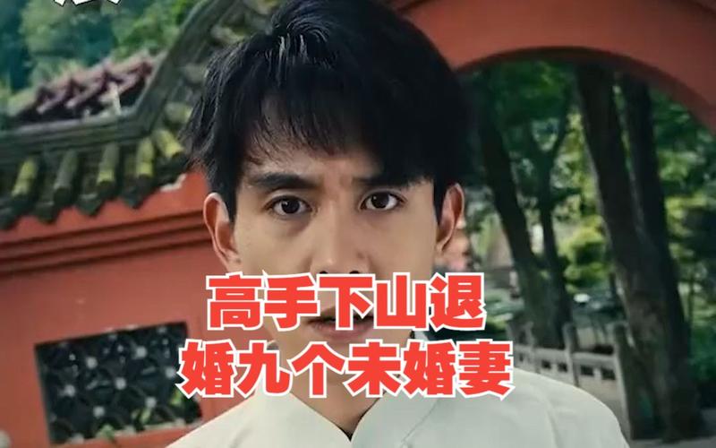 电影：高手下山退婚九个未婚妻