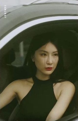 电影:特工凤凰(绝色特工)