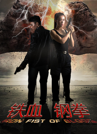 电影：铁血刚拳