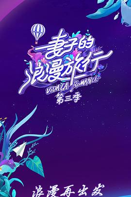 电影:妻子的浪漫旅行 第三季