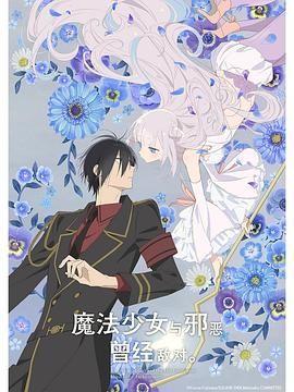 电影：魔法少女与恶曾是敌人
