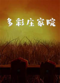 电影：多彩庄家院
