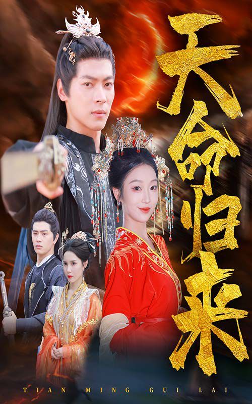 电影：天命归来