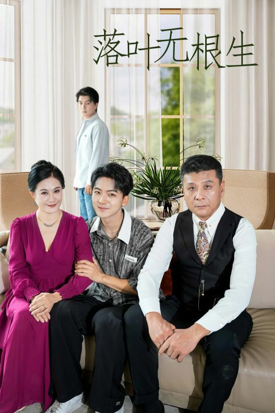 电影：落叶无根生