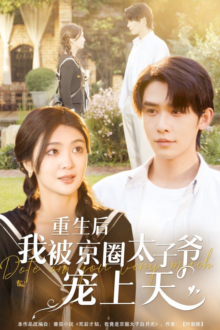 电影：重生后我被京圈太子爷宠上天