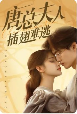 电影：唐总夫人插翅难逃