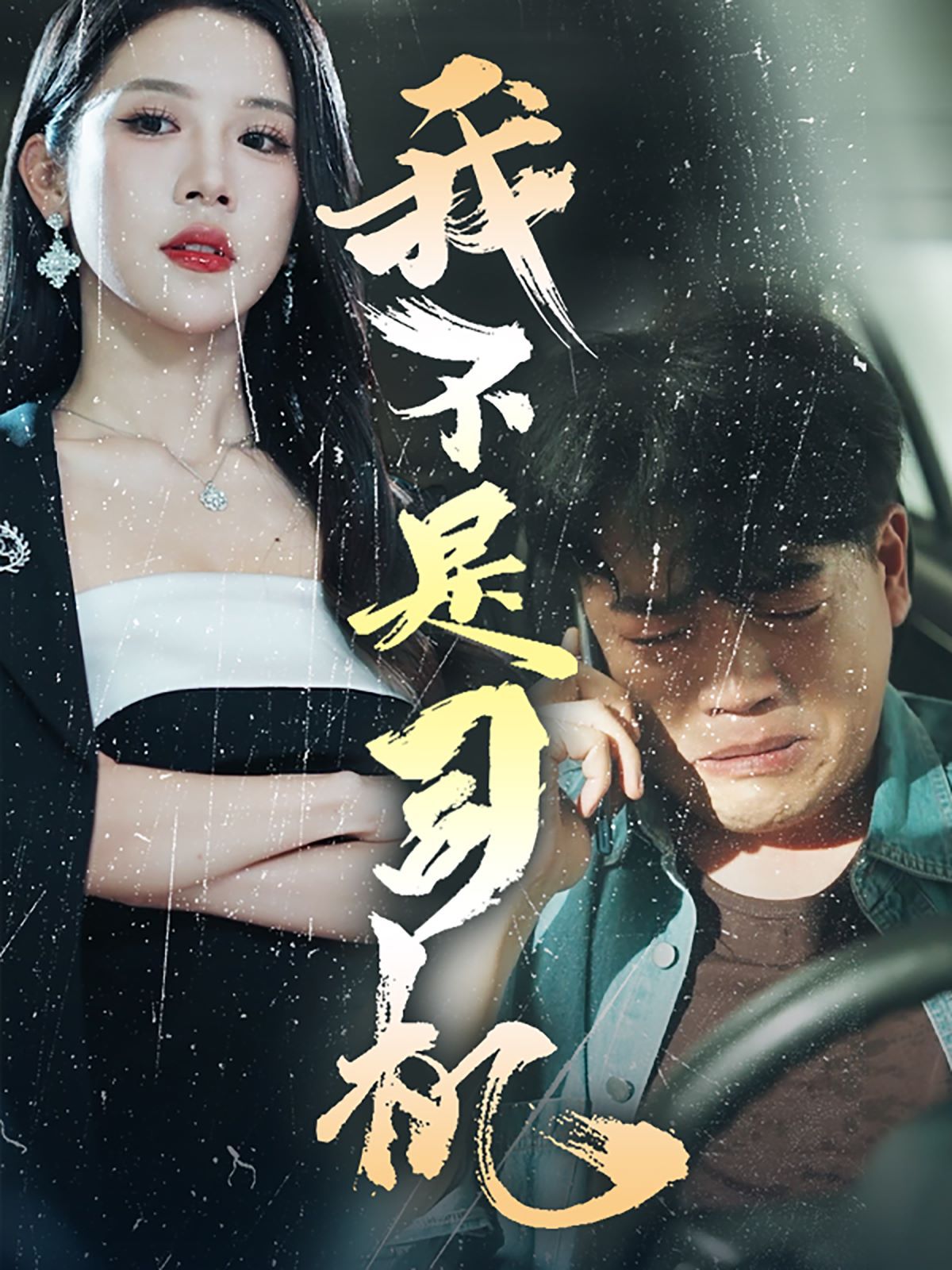 电影:我不是司机