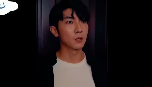 电影：楚门飞婿