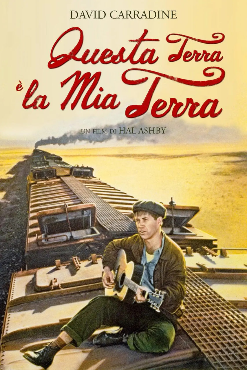 电影：光荣何价