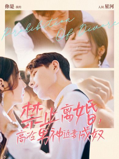 电影：禁止离婚，高冷男神追妻成奴