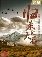 电影：归来的大雁