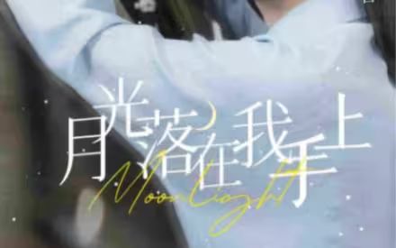 电影：月亮落在我手上