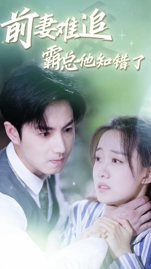 电影：前妻难追，霸总他知错了