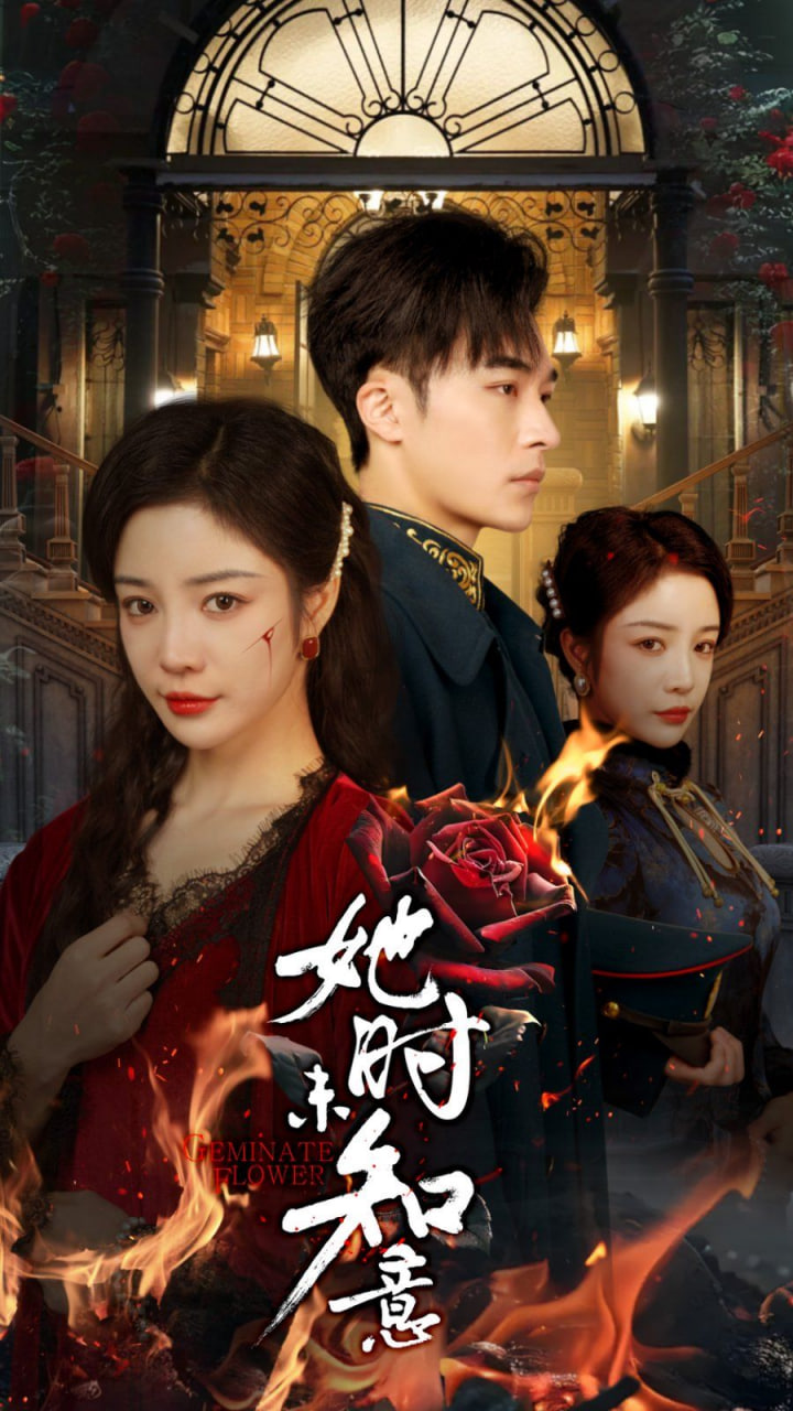 电影:她时未知意