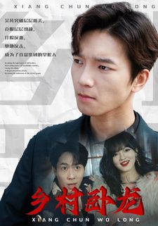 电影：乡村卧龙