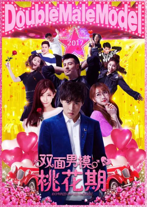 电影：双面男模之桃花期