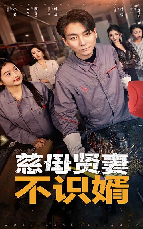 电影：慈母贤妻不识婿