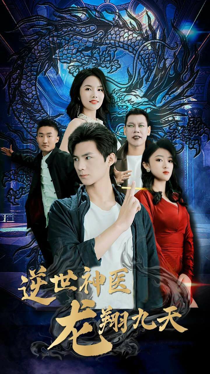 电影：逆世神医龙翔九天