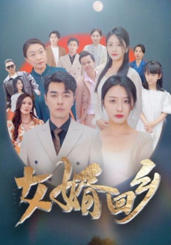 电影：女婿回乡