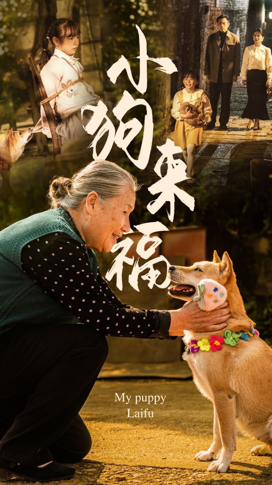 电影：小狗来福