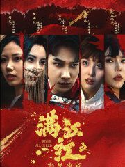 电影：满江红之怒发冲冠