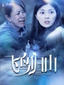 电影：飞鸟归山