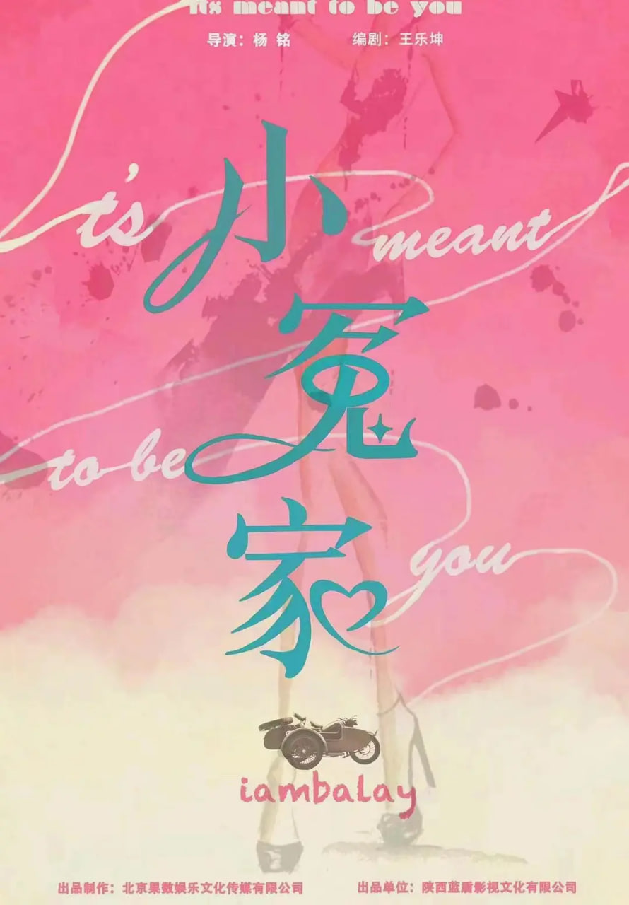 电影：我的媳妇不好惹