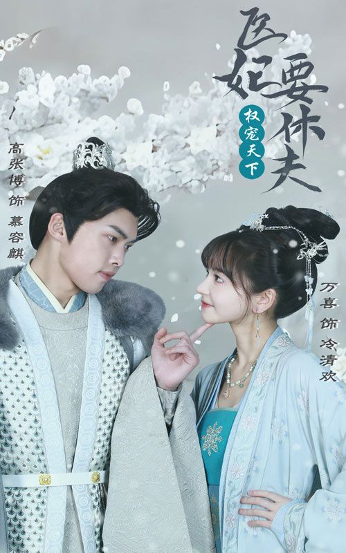 电影：权宠天下：医妃要休夫